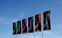Flags of Surventis Flags of Surventis